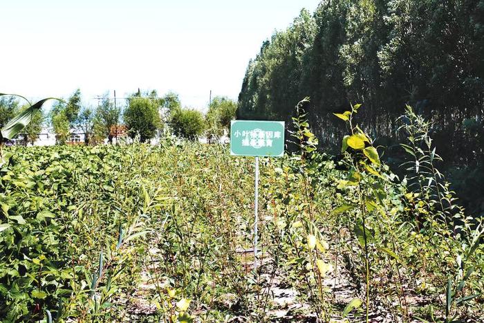 微信圖片_20230823165105