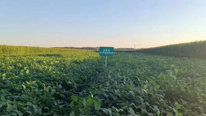 微信圖片_20230823165115