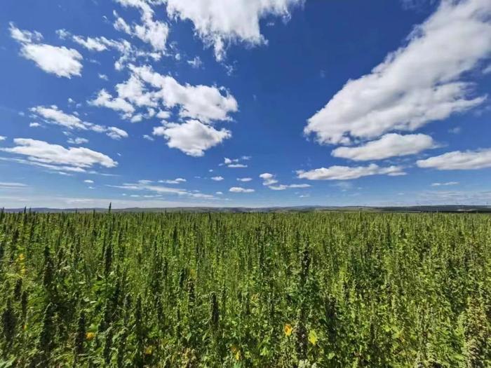 微信圖片_20230823165124