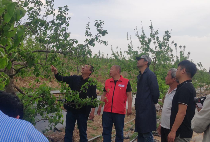 35ba9639cdcd2ff2d561559a4352957