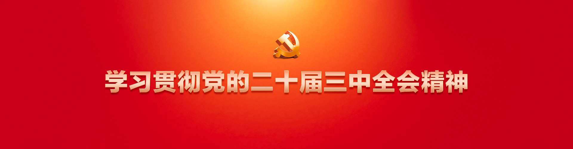 學(xué)習(xí)貫徹黨的二十屆三中全會(huì)精神
