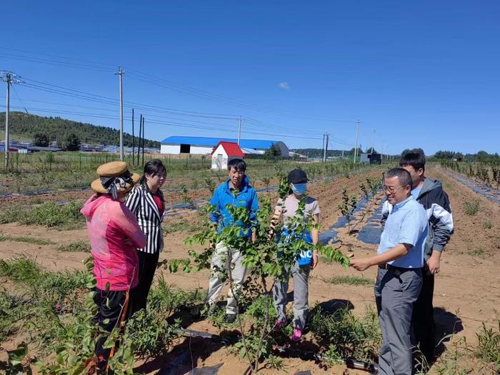 41510e09ca9531e8ec94a449d7dc6c3 41510e09ca9531e8ec94a449d7dc6c3