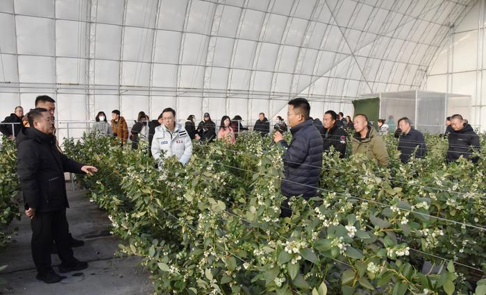 微信圖片_20251205154923