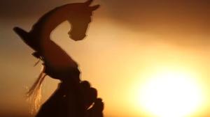 致敬科技之光——祝全區(qū)科技工作者節(jié)日快樂(lè)！